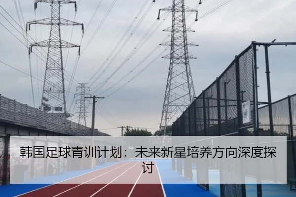 韩国足球青训计划:未来新星培养方向深度探讨